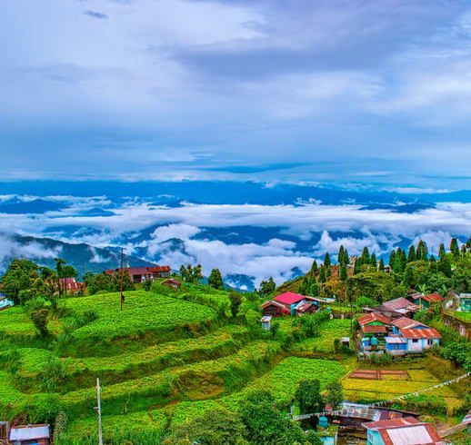 darjeeling