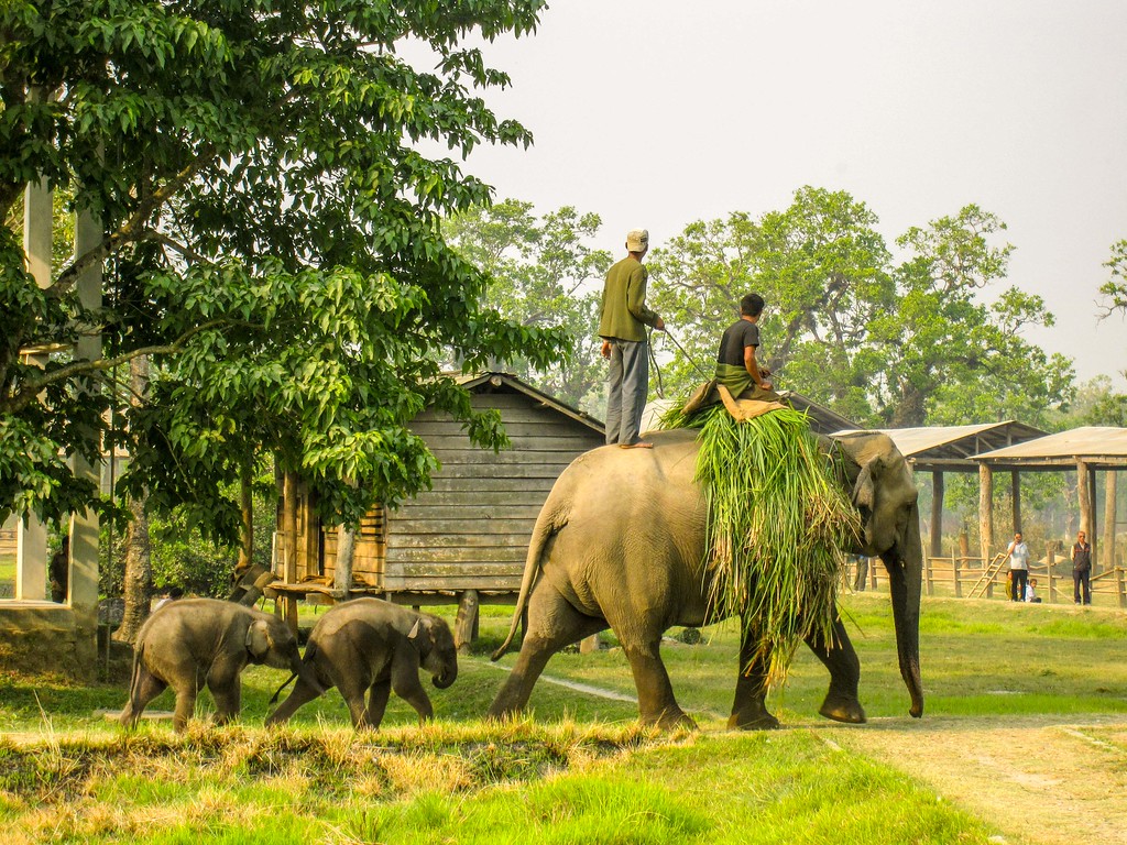 Elephant Breeding Center