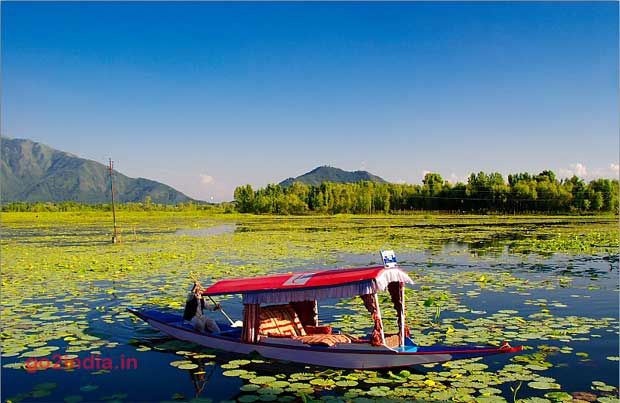 Dal lake