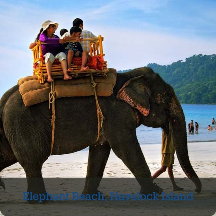 Elephant Beach,